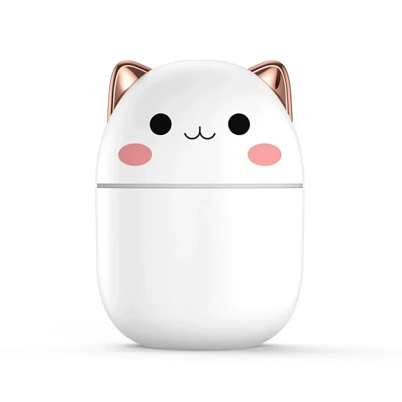 250ML Mini Air Humidifier