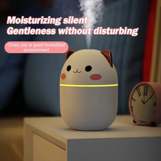250ML Mini Air Humidifier